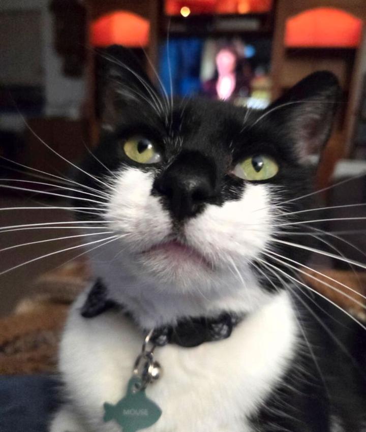 Portrait of Rose