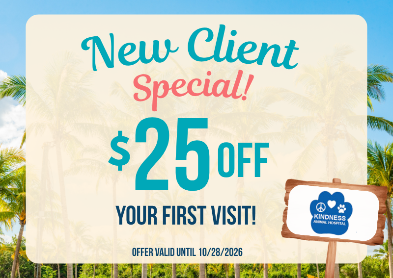 Carousel Slide 1: Book an appointment here>>
